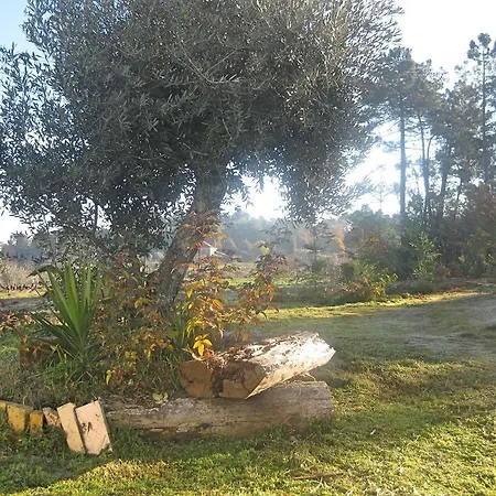 Retiro Do Tempo Oliveira do Hospital
