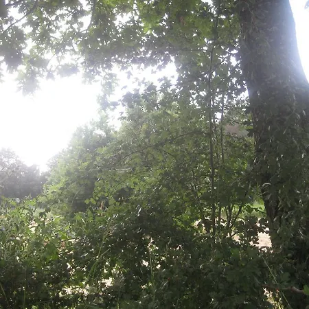 Guest house Retiro Do Tempo