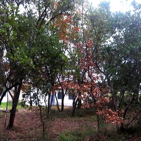 Retiro Do Tempo * Oliveira do Hospital