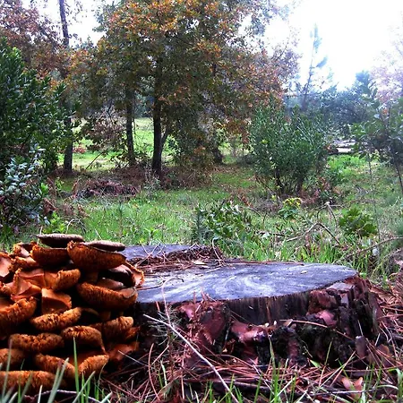 Πανσιόν Retiro Do Tempo