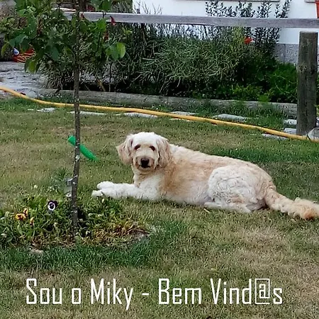 Πανσιόν Retiro Do Tempo